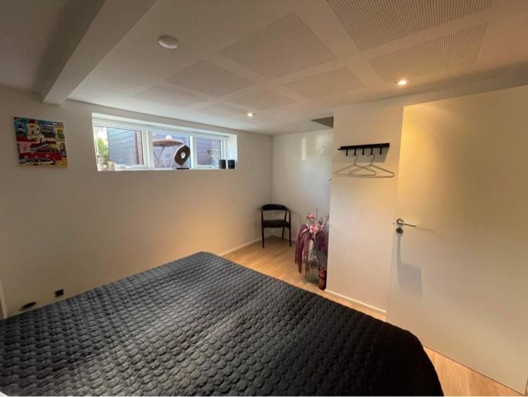 Nyistandsat Hojloftet Kaelderlejlighed Pa 70 M2 I Viborg Centrum, Med Plads Til 4 Personer Luaran gambar
